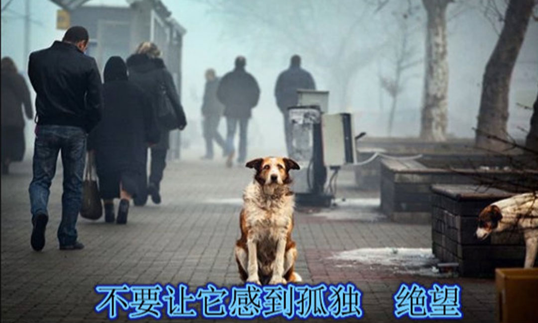 怀柔怀柔爱影圈微博微信转发案例